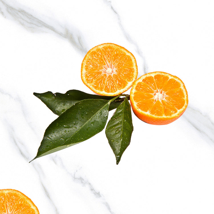 Modern Style 1/5/7 Pieces Dining Set Rectangle Stone Dining Table for Dining Room