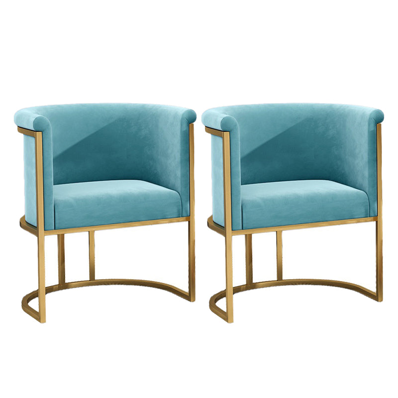 Nordic Arms Included with Goldtone Legs Fixed Back Accent Armchair