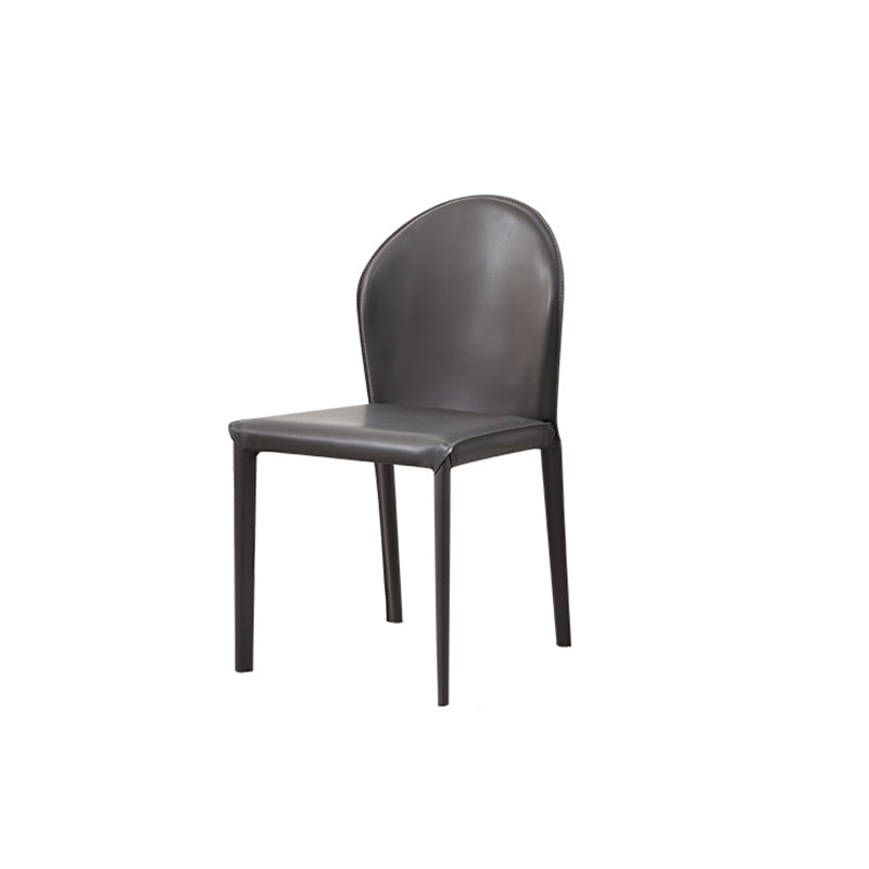 Contemporary Kitchen Dining Side Chair Matte Finish Dining Chair