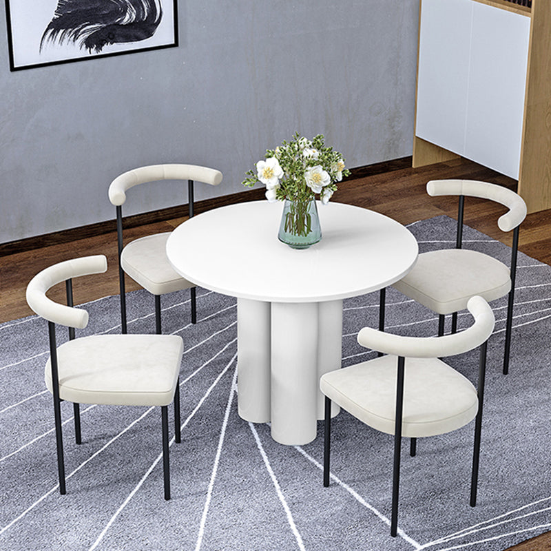 Black Iron Legs Dining Chairs Modern Armless Side Chair for Home