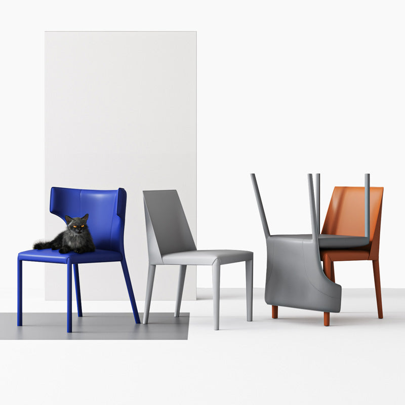 Matte Finish Dining Chair for Home Metal Modern Indoor Side Chair