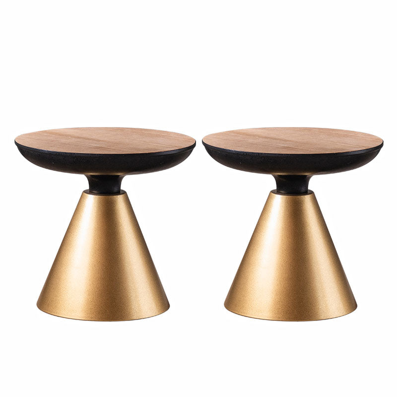 Wood Round Top Side Table 18.9" Tall Iron Pedestal End Table