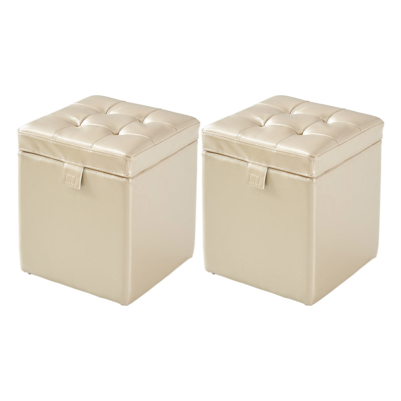 Gorgeous Leather Standard Stain Resistant Square Indoor Standard