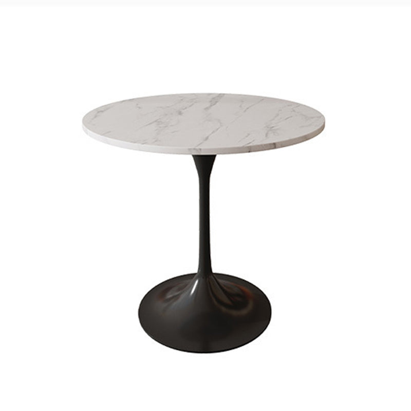 Glam Style Sintered Stone Dining Set Round 1/2/5 Pieces Dining Set