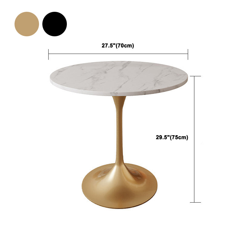 Glam Style Sintered Stone Dining Set Round 1/2/5 Pieces Dining Set