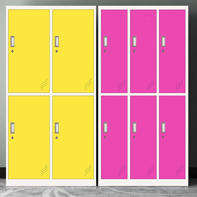 Metal Matte Finish Cabinet Contemporary Style Storage Cabinet with Hinged Doors