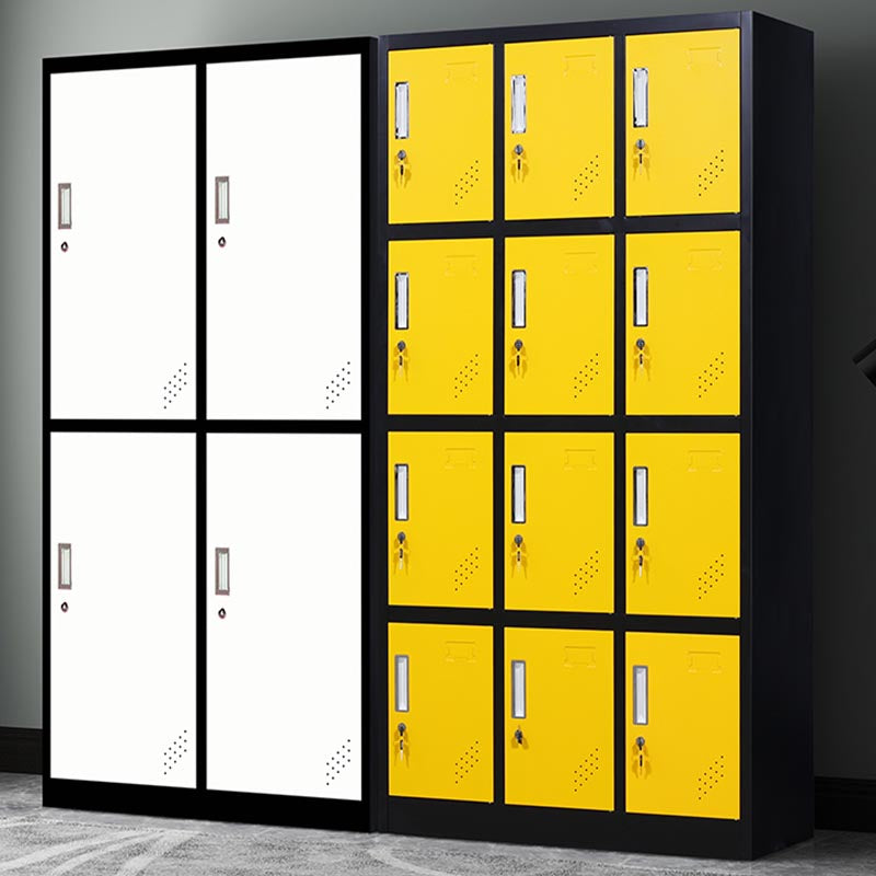 Metal Matte Finish Cabinet Contemporary Style Storage Cabinet with Hinged Doors