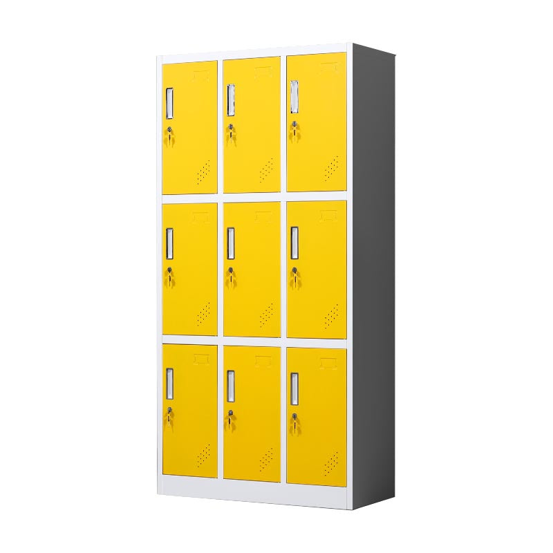 Metal Matte Finish Cabinet Contemporary Style Storage Cabinet with Hinged Doors