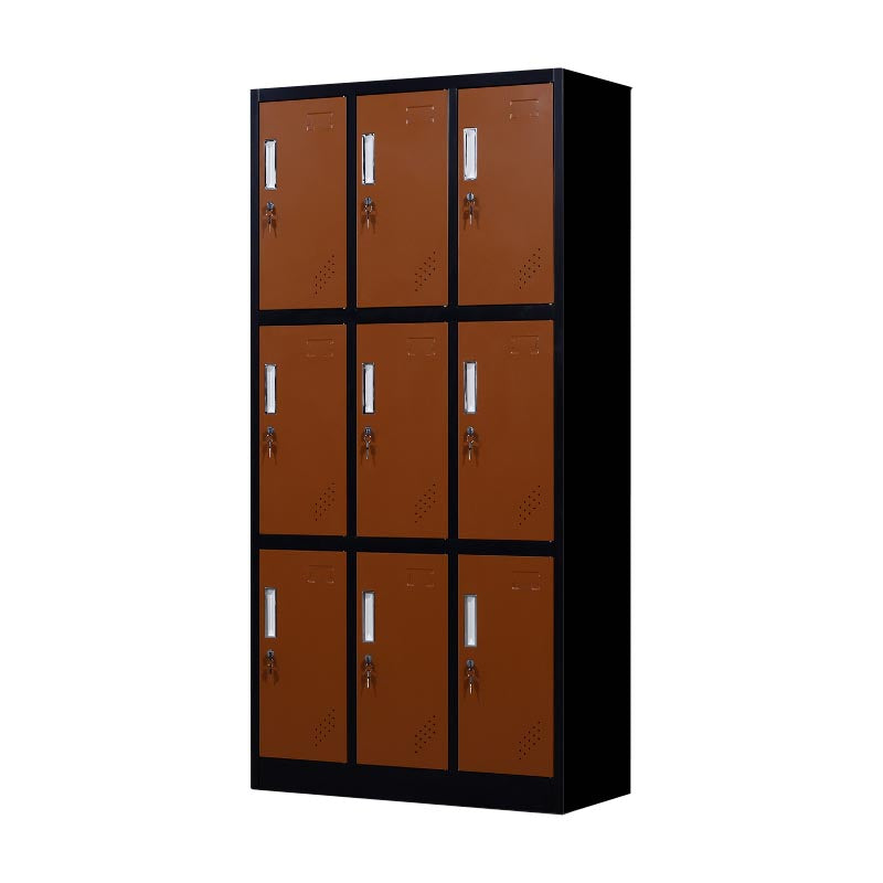 Metal Matte Finish Cabinet Contemporary Style Storage Cabinet with Hinged Doors