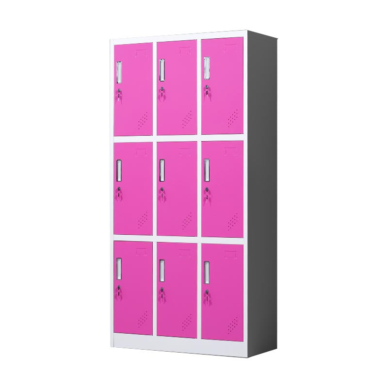 Metal Matte Finish Cabinet Contemporary Style Storage Cabinet with Hinged Doors