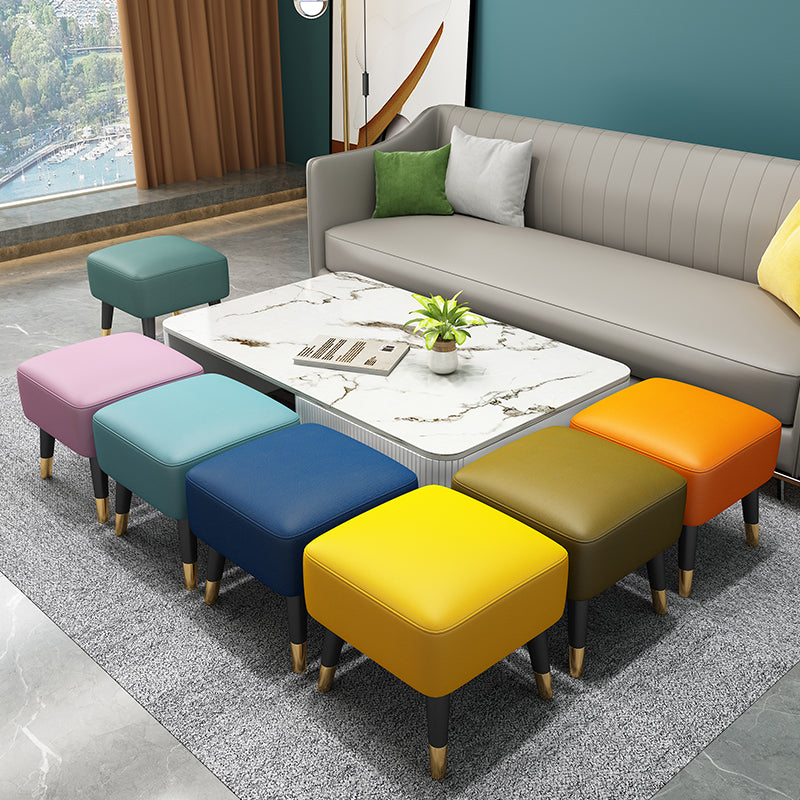 Modern Tear Resistant Standard Solid Color Leather Indoor Standard