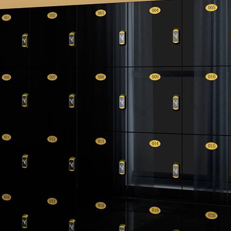 Modern Mirrored Finish Non-Hanging Armoire Manufactured Wood Storage Cabinet