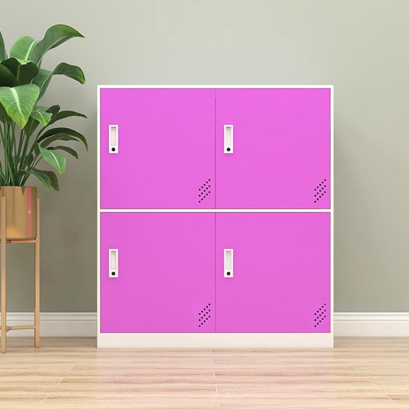 Metal Matte Finish Non-Hanging Cabinet Modern Storage Cabinet with Hinged Doors