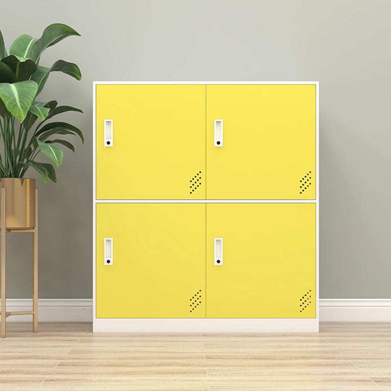 Metal Matte Finish Non-Hanging Cabinet Modern Storage Cabinet with Hinged Doors