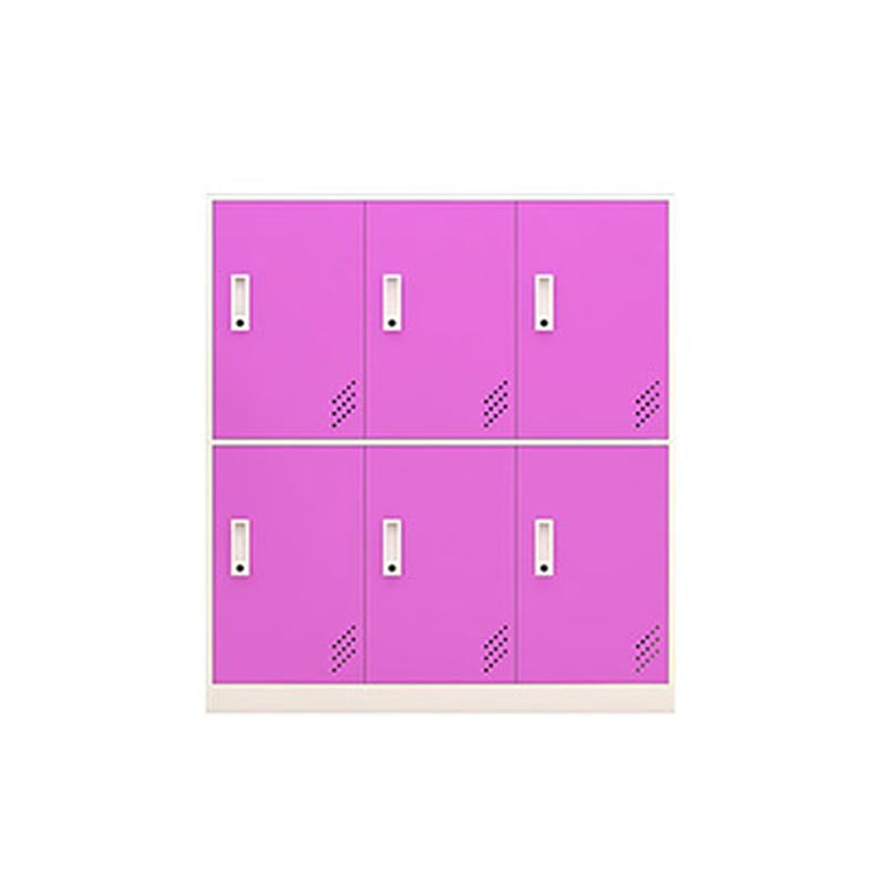 Metal Matte Finish Non-Hanging Cabinet Modern Storage Cabinet with Hinged Doors