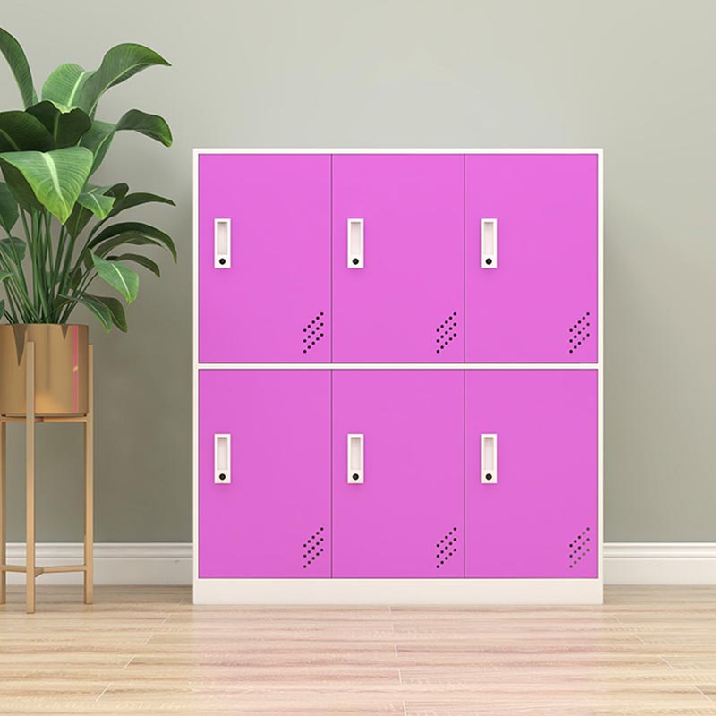 Metal Matte Finish Non-Hanging Cabinet Modern Storage Cabinet with Hinged Doors