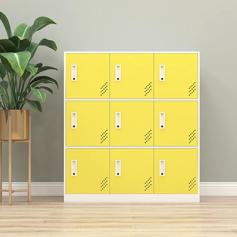 Metal Matte Finish Non-Hanging Cabinet Modern Storage Cabinet with Hinged Doors