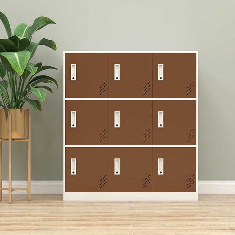 Metal Matte Finish Non-Hanging Cabinet Modern Storage Cabinet with Hinged Doors