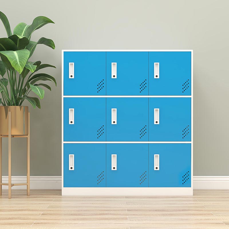 Metal Matte Finish Non-Hanging Cabinet Modern Storage Cabinet with Hinged Doors