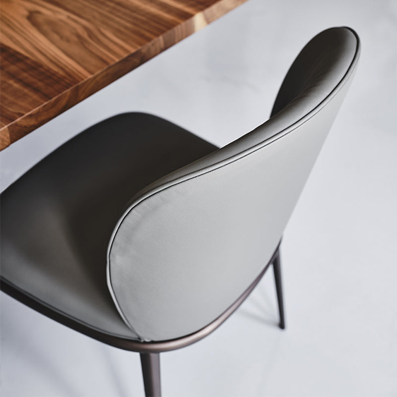 Modern Dining Chairs Armless Dining Chairs with Metal Legs for Kitchen