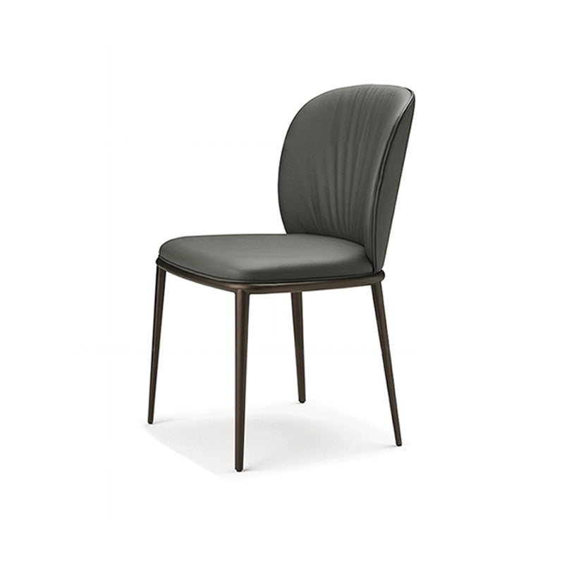 Modern Dining Chairs Armless Dining Chairs with Metal Legs for Kitchen