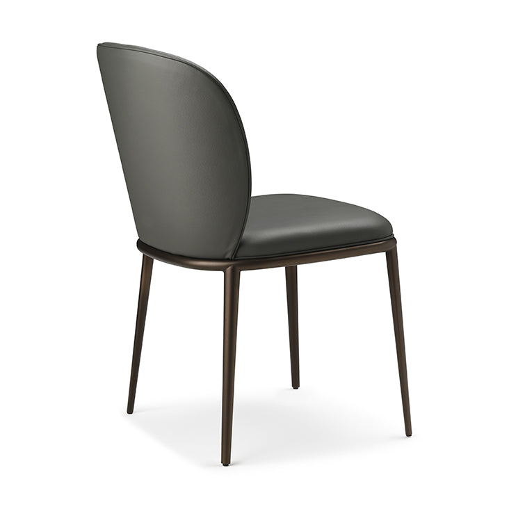 Modern Dining Chairs Armless Dining Chairs with Metal Legs for Kitchen