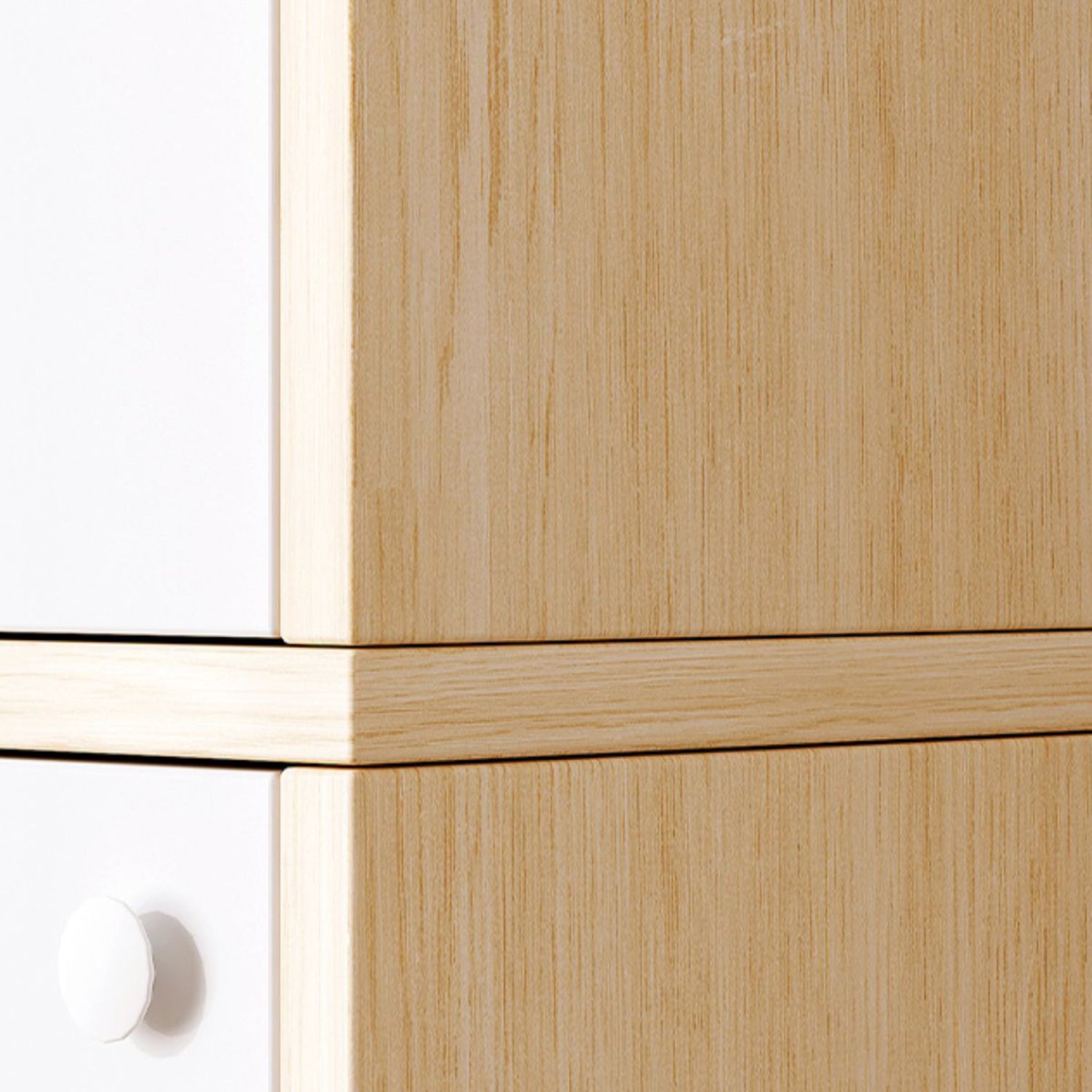 Contemporary Accent Cabinet with Doors Scratch Resistant Storage Cabinet