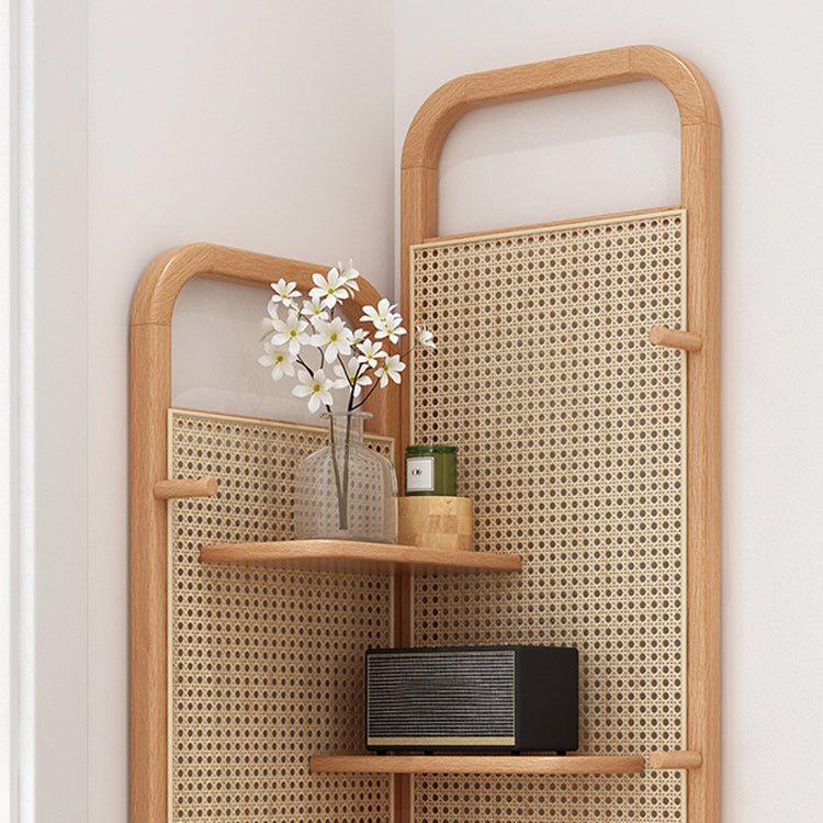Mid-Century Modern Storage Cabinet with Adjustable Shelves Cabinet