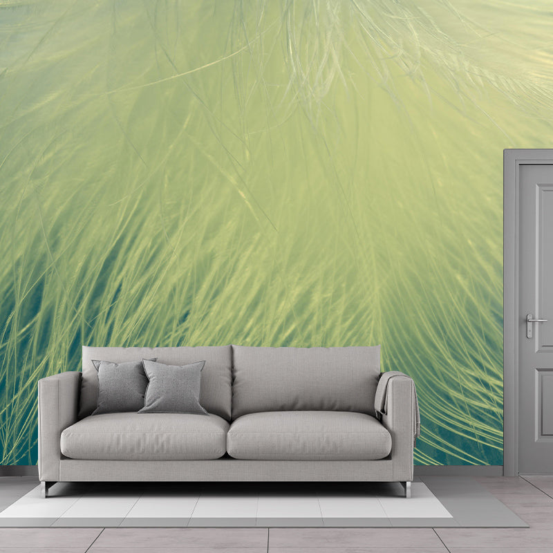 Contemporary Feather Wall Mural Photography Home Stain Resistant Wall Mural