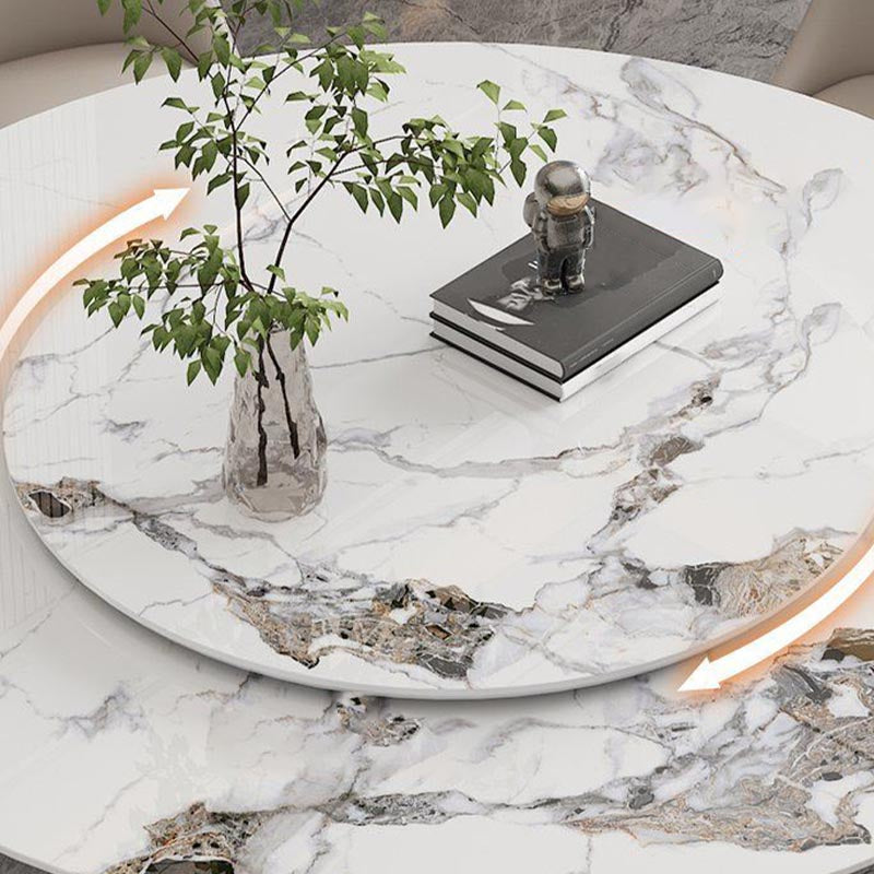 Round Sintered Stone Dining Table Modern Furniture with Pedestal Steel Base