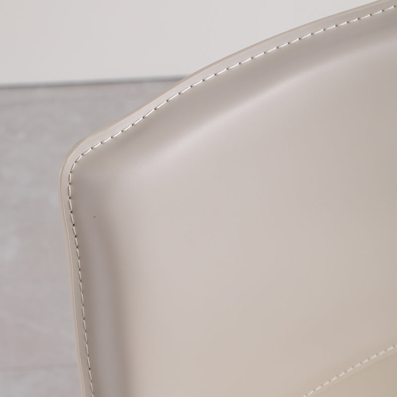 Upholstered Dining Chair with Leather Legs Matte Finish Solid Back Side Chair