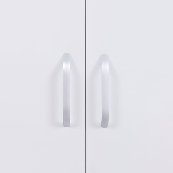 Contemporary Two Doors Wardrobe Armoire Steel Wardrobe Closet