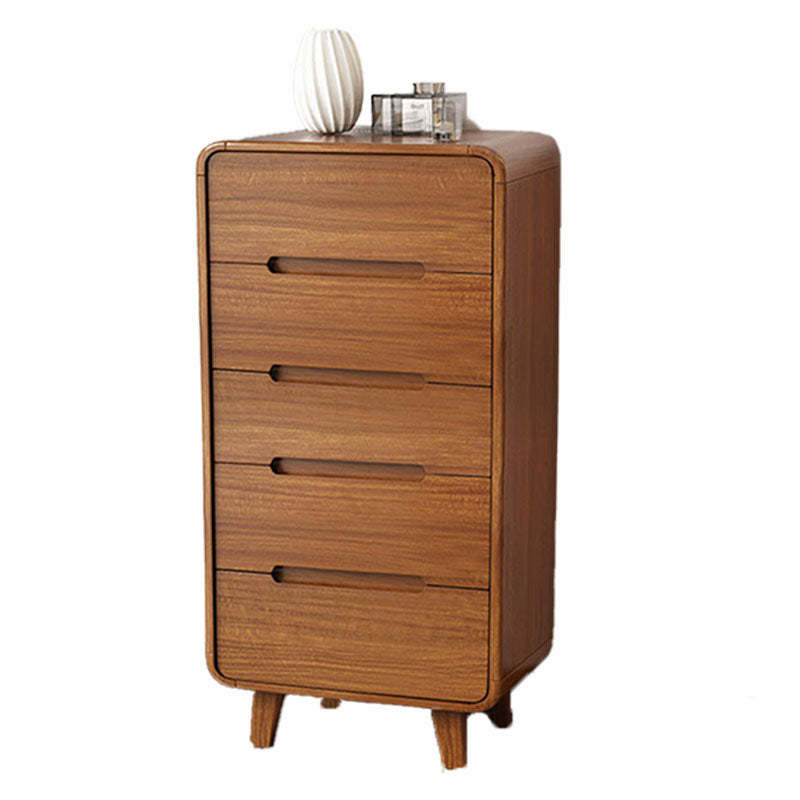 Contemporary Wooden Storage Chest Home Chest in Brown with Drawers