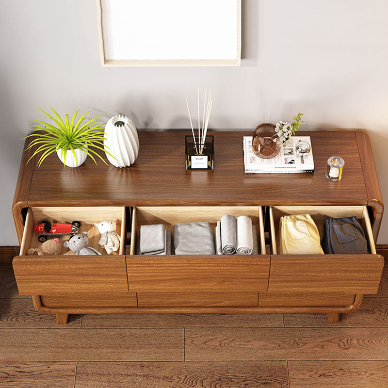Contemporary Wooden Storage Chest Home Chest in Brown with Drawers