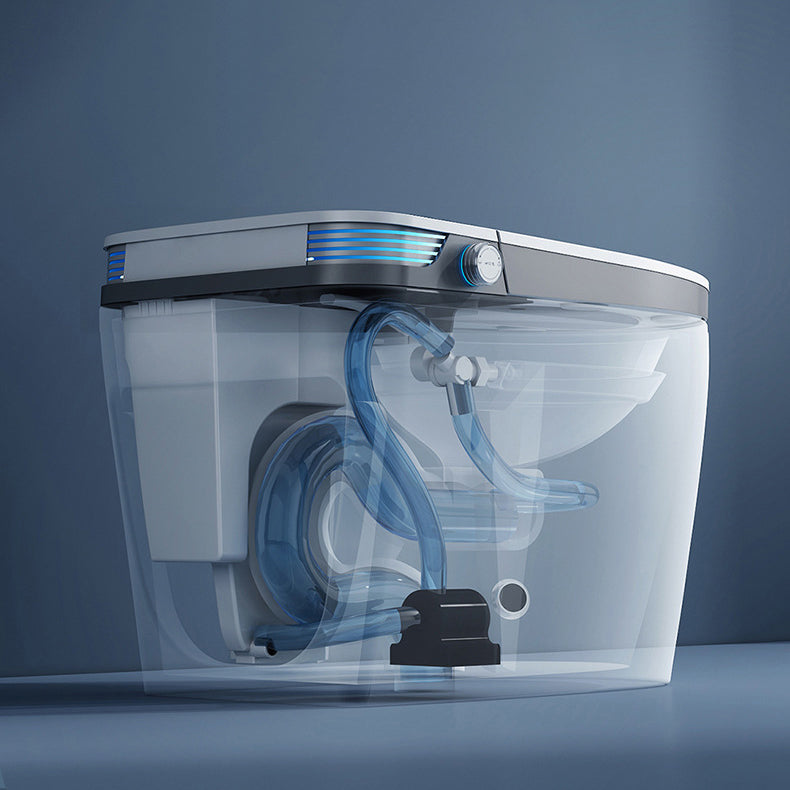 Modern Floor Mounted Urine Toilet White Siphon Jet Toilet Bowl with Toilet Seat