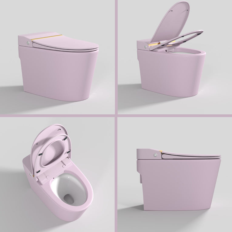 Modern Floor Mounted Urine Toilet Siphon Jet Toilet Bowl with Toilet Seat