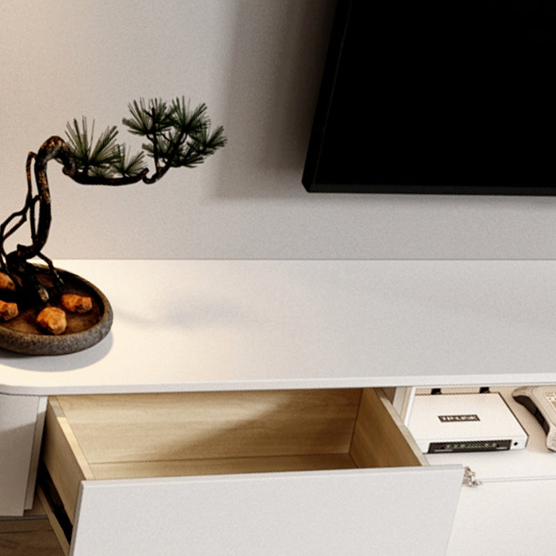 Contemporary Engineered Wood TV Stand Floating Enclosed Storage TV Media Console