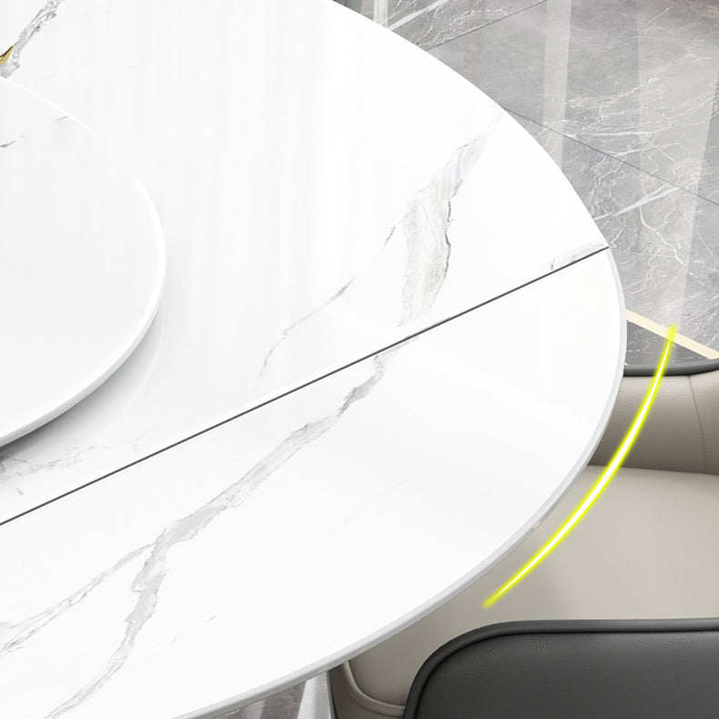 Contemporary Pedestal Dining Table Round Dinner Table for Home