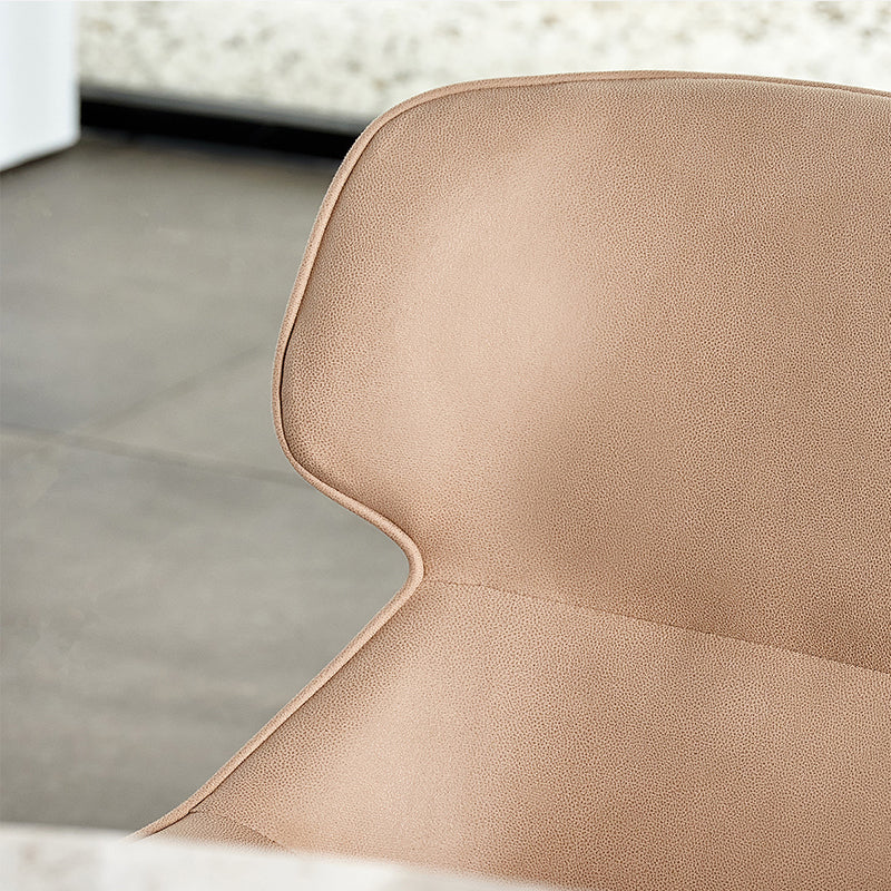 Modern Style Chairs Dining Chairs with Metal Legs for Kitchen