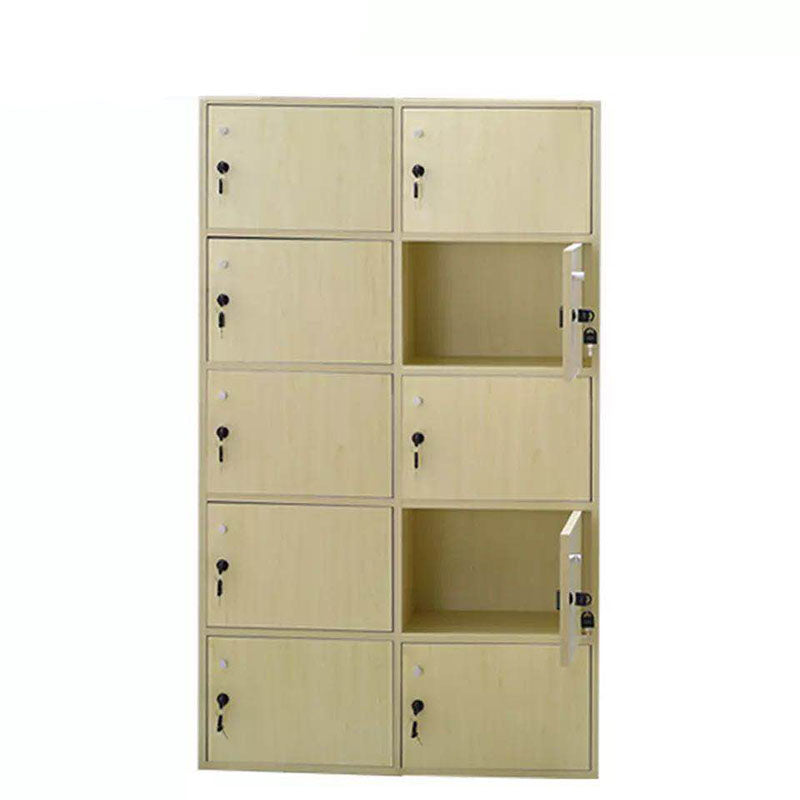 Matte Finish Non-Hanging Cabinet Modern Wood Storage Cabinet with Hinged Doors
