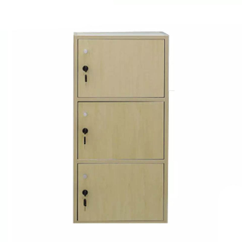 Matte Finish Non-Hanging Cabinet Modern Wood Storage Cabinet with Hinged Doors