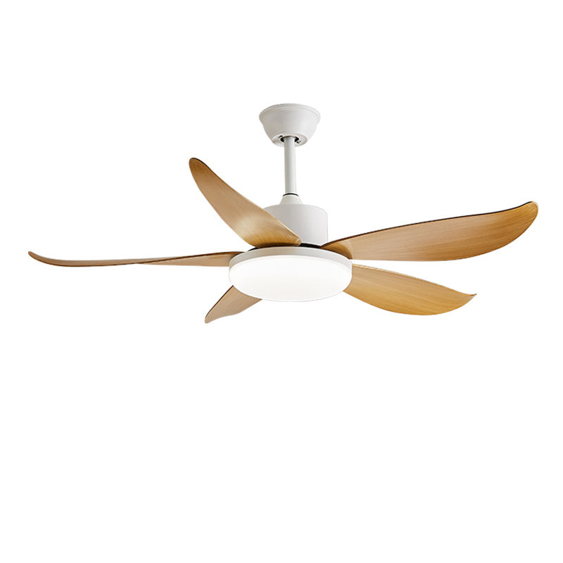 Nordic Ceiling Fan Lamp Fixture Colorful LED Ceiling Flush Mount for Kids' Room