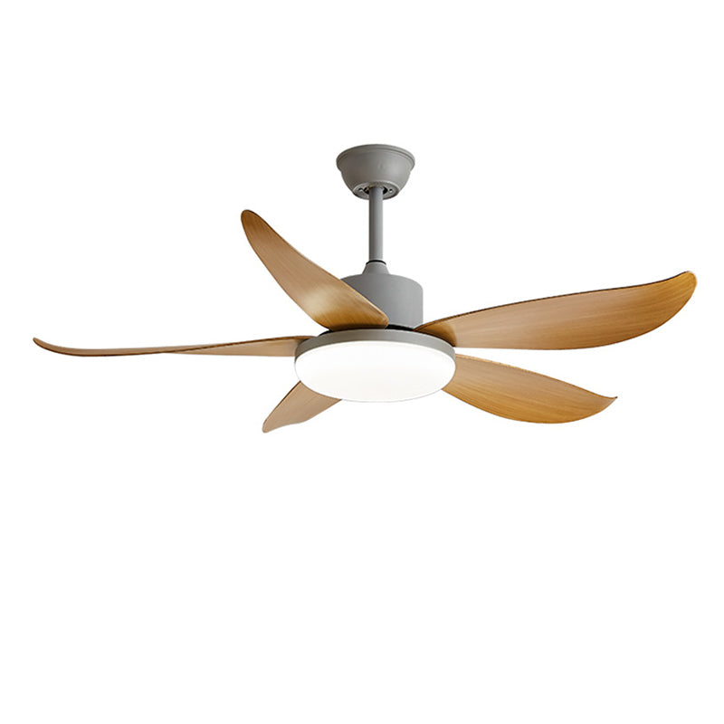 Nordic Ceiling Fan Lamp Fixture Colorful LED Ceiling Flush Mount for Kids' Room