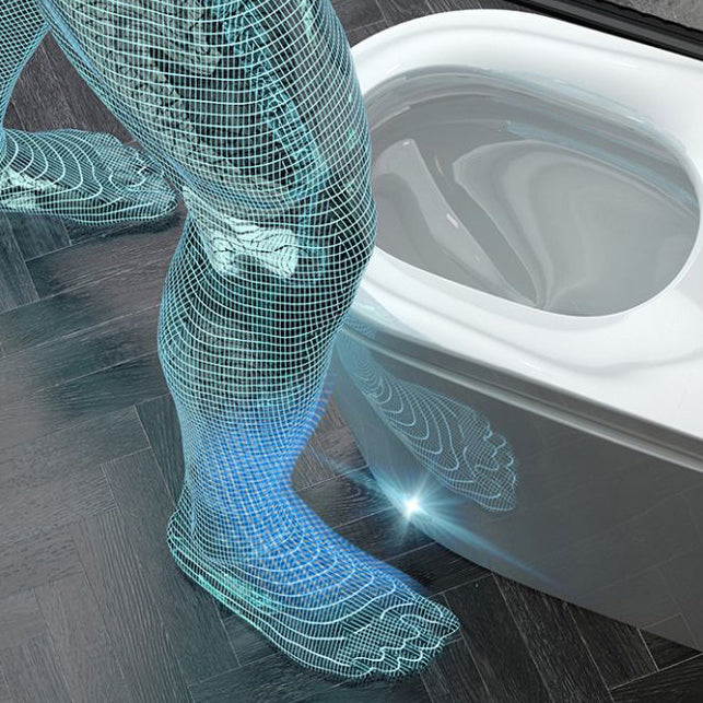 Modern Heated Seat Toilet Bowl Floor Mount Skirted Toilet with Toilet Seat