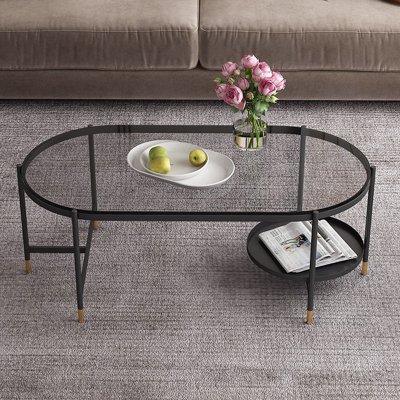 Contemporary Elliptical Glass & Slate Coffee Cocktail Table with Storage Shelf