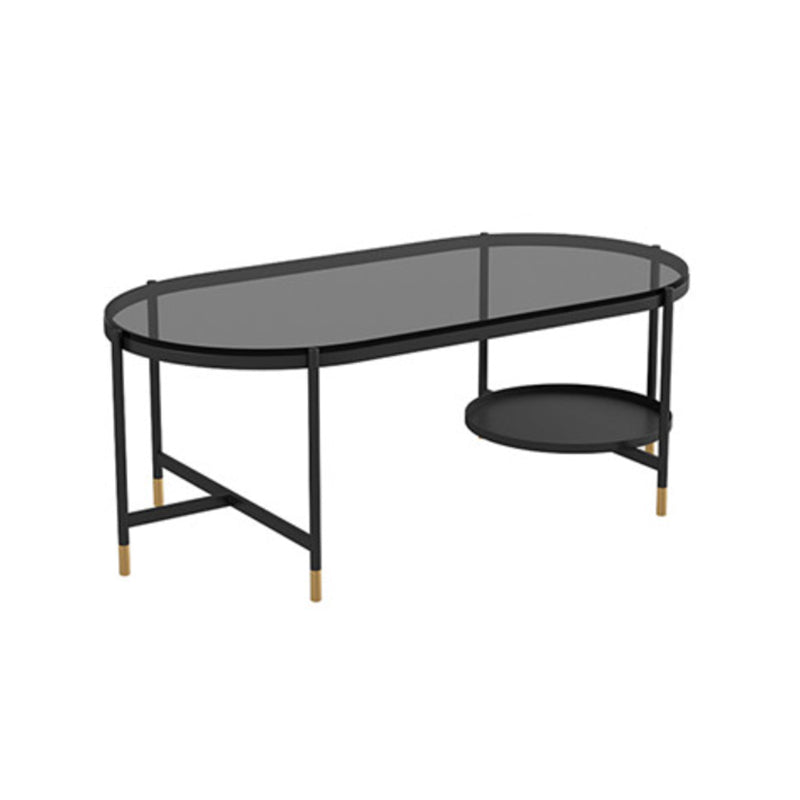 Contemporary Elliptical Glass & Slate Coffee Cocktail Table with Storage Shelf