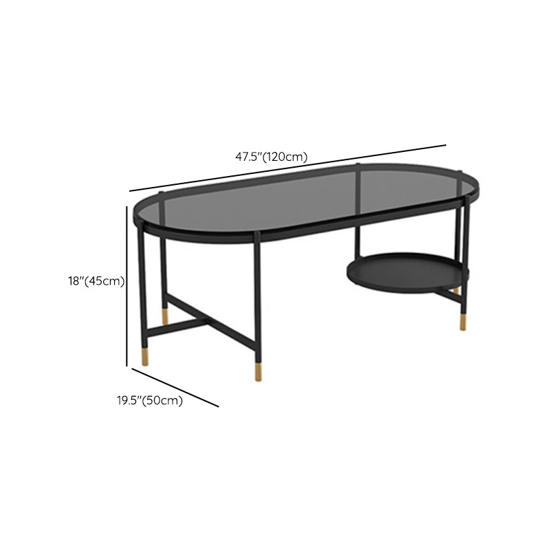 Contemporary Elliptical Glass & Slate Coffee Cocktail Table with Storage Shelf