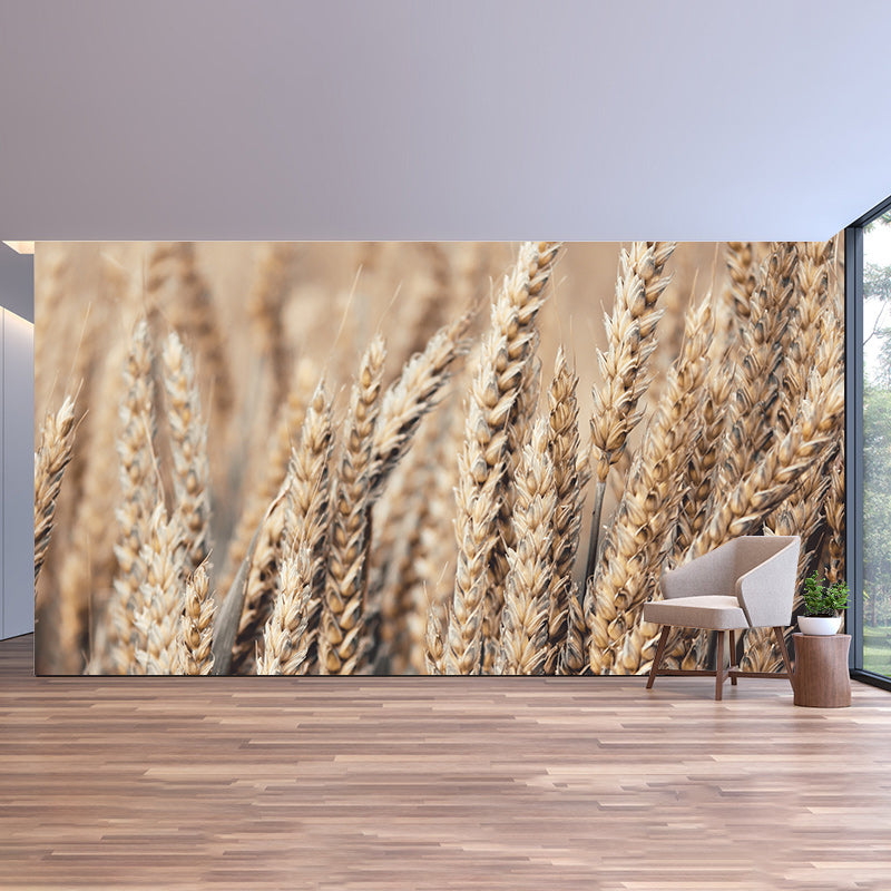 Wheat Field Mildew Resistant Wallpaper Photography Environmental Sleeping Room Wall Mural