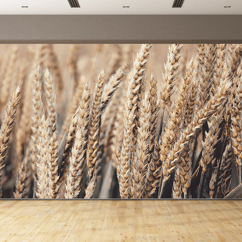 Wheat Field Mildew Resistant Wallpaper Photography Environmental Sleeping Room Wall Mural
