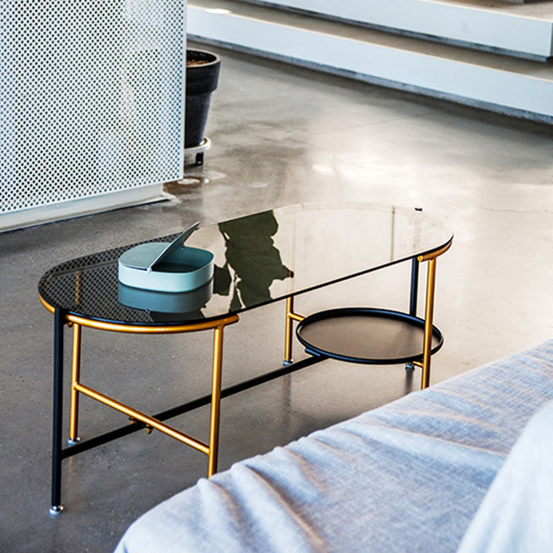 Modernism Elliptical Glass Top Coffee Cocktail Table with Shelf